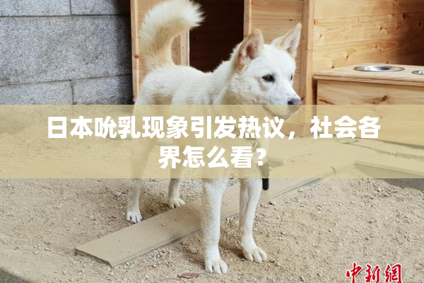 日本吮乳现象引发热议，社会各界怎么看？
