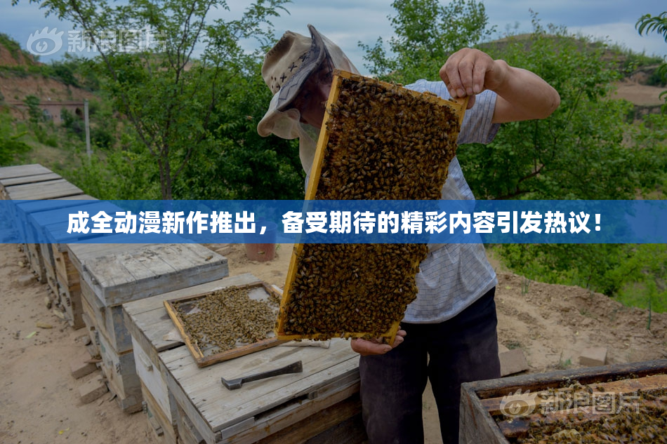 成全动漫新作推出，备受期待的精彩内容引发热议！