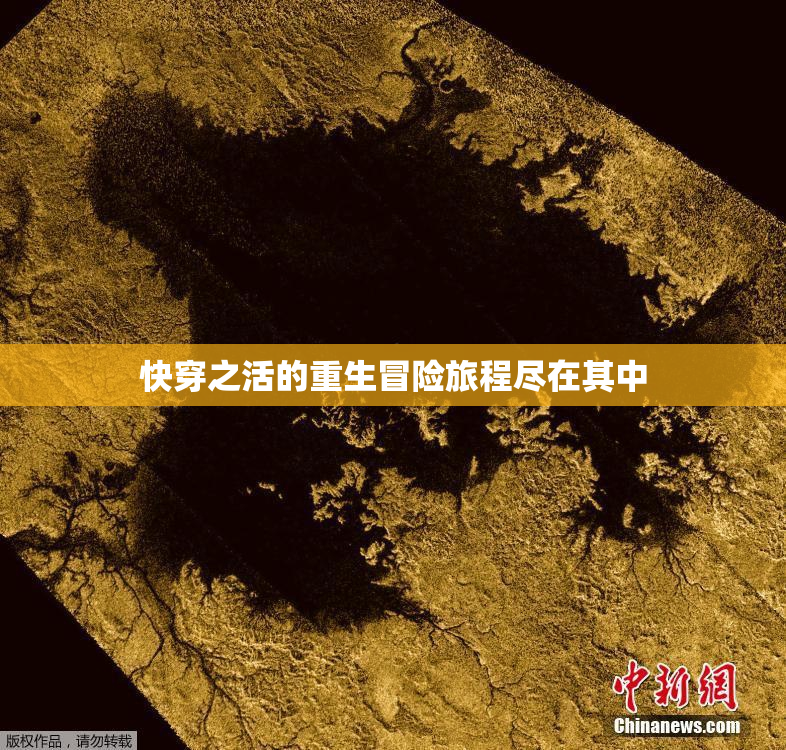 快穿之活的重生冒险旅程尽在其中