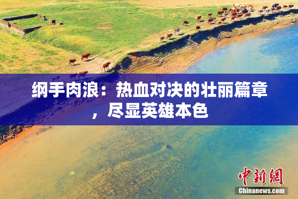 纲手肉浪：热血对决的壮丽篇章，尽显英雄本色