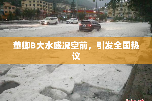董卿B大水盛况空前，引发全国热议