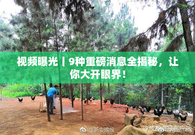 视频曝光丨9种重磅消息全揭秘，让你大开眼界！
