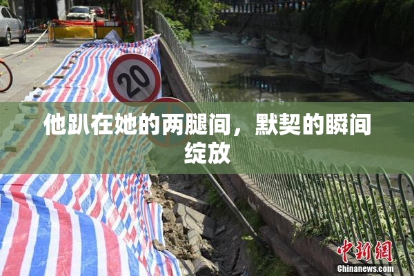 他趴在她的两腿间，默契的瞬间绽放