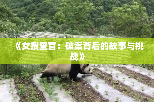 《女搜查官：破案背后的故事与挑战》