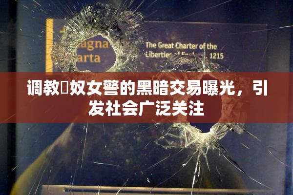 调教婬奴女警的黑暗交易曝光，引发社会广泛关注