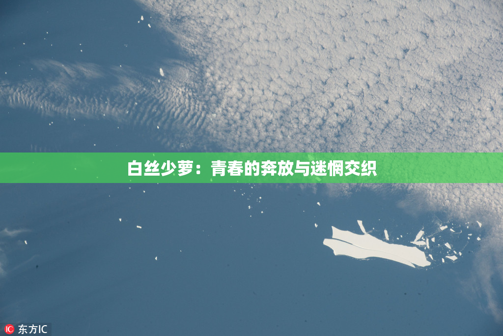 白丝少萝：青春的奔放与迷惘交织