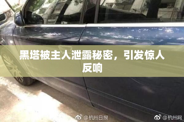 黑塔被主人泄露秘密，引发惊人反响