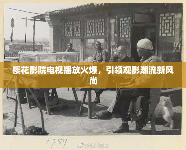 樱花影院电视播放火爆，引领观影潮流新风尚