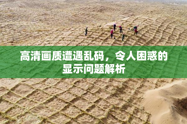 高清画质遭遇乱码，令人困惑的显示问题解析