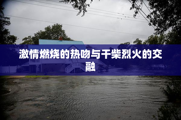 激情燃烧的热吻与干柴烈火的交融