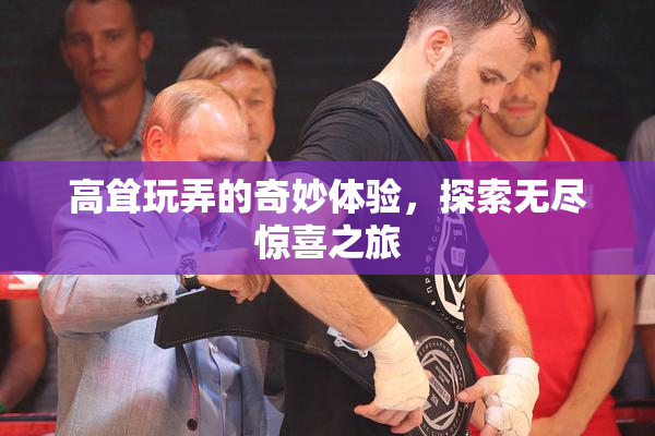 高耸玩弄的奇妙体验，探索无尽惊喜之旅