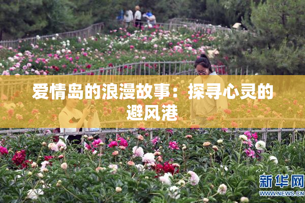 爱情岛的浪漫故事：探寻心灵的避风港