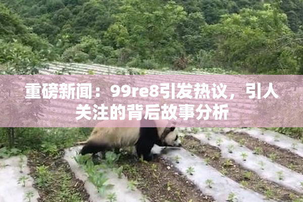 重磅新闻：99re8引发热议，引人关注的背后故事分析