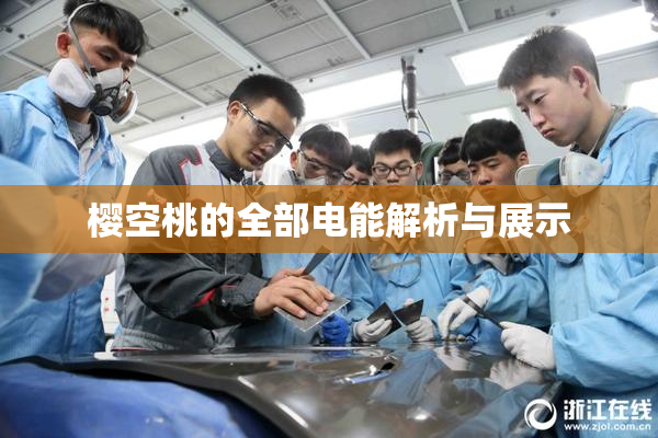 樱空桃的全部电能解析与展示