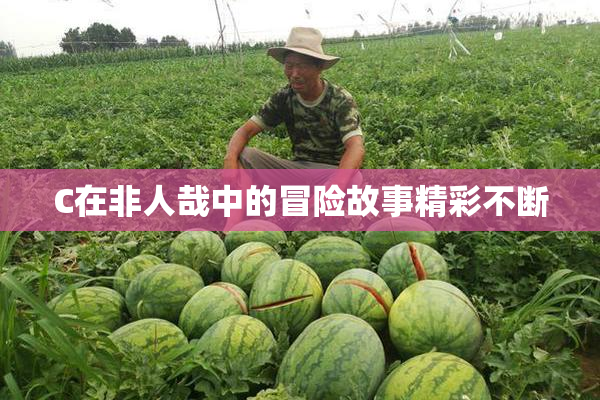 C在非人哉中的冒险故事精彩不断