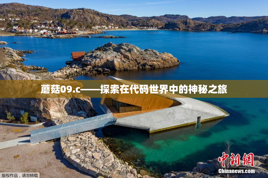 蘑菇09.c——探索在代码世界中的神秘之旅