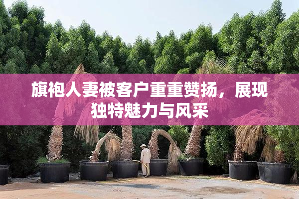 旗袍人妻被客户重重赞扬，展现独特魅力与风采