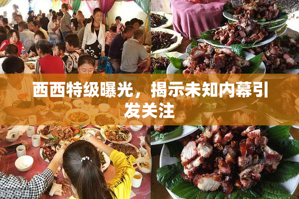 西西特级曝光，揭示未知内幕引发关注