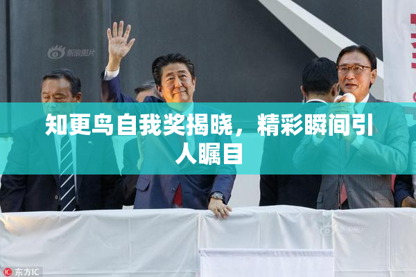 知更鸟自我奖揭晓，精彩瞬间引人瞩目