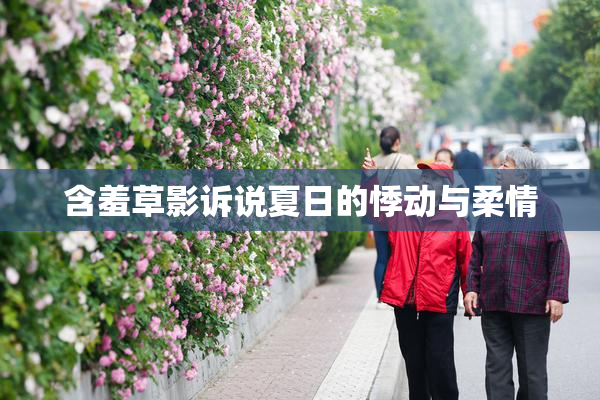 含羞草影诉说夏日的悸动与柔情