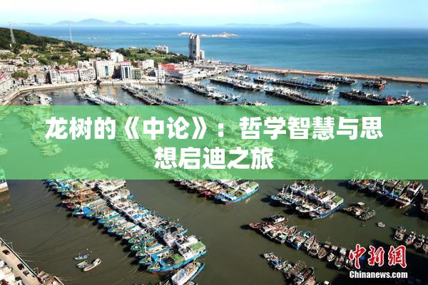 龙树的《中论》：哲学智慧与思想启迪之旅