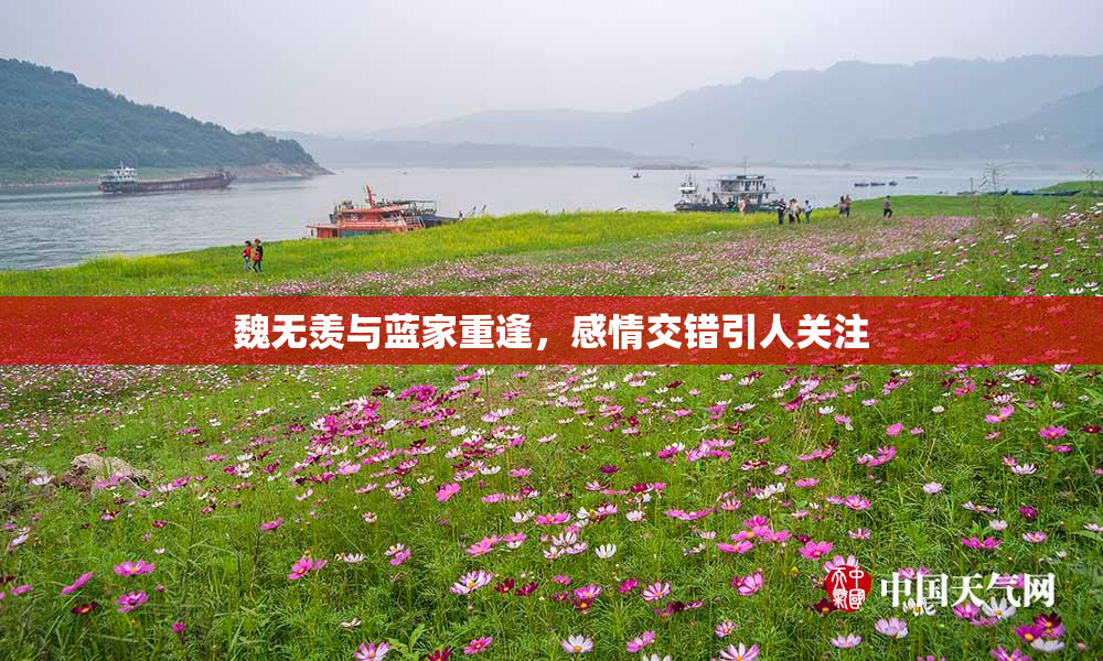 魏无羡与蓝家重逢，感情交错引人关注