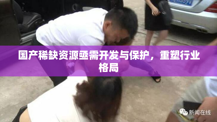 国产稀缺资源亟需开发与保护，重塑行业格局