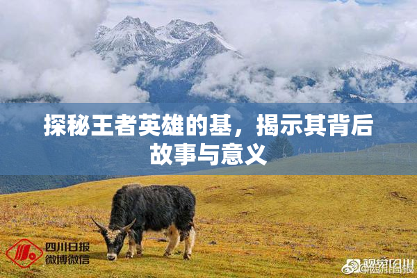 探秘王者英雄的基，揭示其背后故事与意义