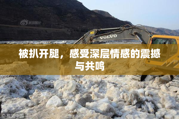 被扒开腿，感受深层情感的震撼与共鸣