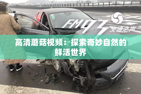 高清蘑菇视频：探索奇妙自然的鲜活世界
