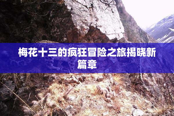 梅花十三的疯狂冒险之旅揭晓新篇章