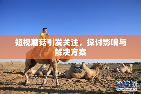 短视蘑菇引发关注，探讨影响与解决方案