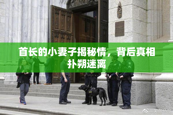 首长的小妻子揭秘情，背后真相扑朔迷离