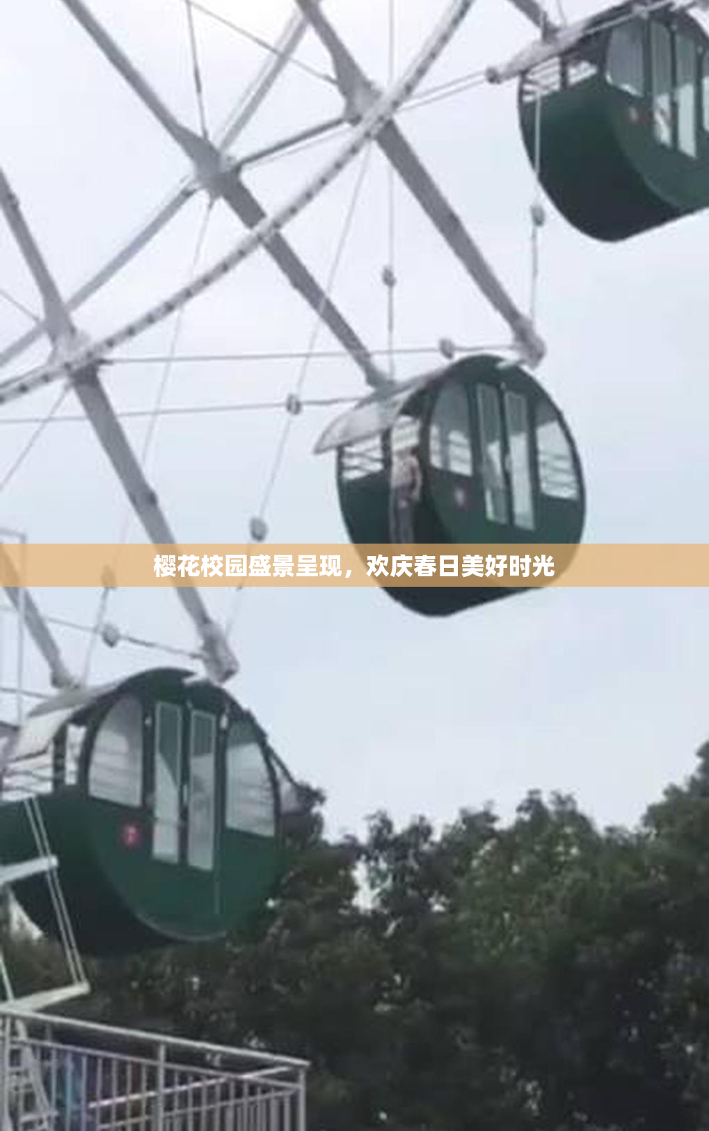 樱花校园盛景呈现，欢庆春日美好时光