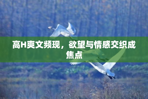 高H爽文频现，欲望与情感交织成焦点