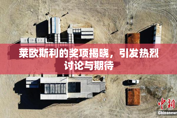 莱欧斯利的奖项揭晓，引发热烈讨论与期待