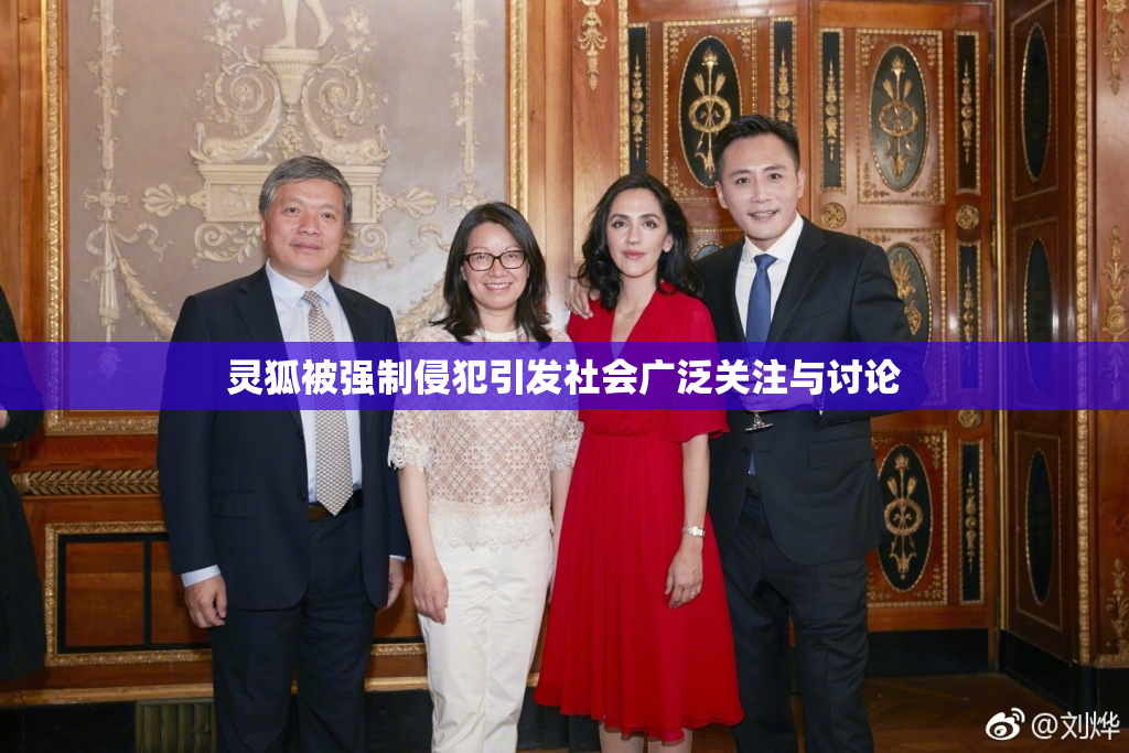 灵狐被强制侵犯引发社会广泛关注与讨论