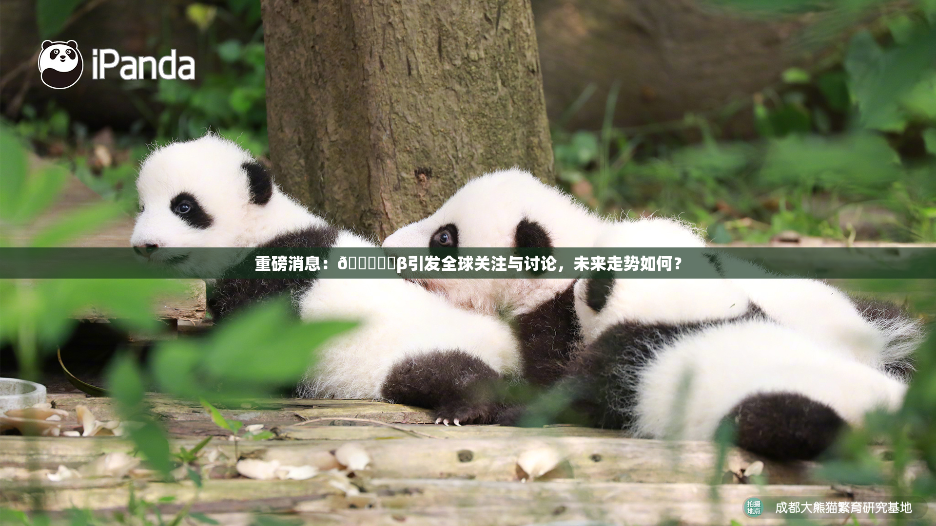 重磅消息：🍆❌‌β引发全球关注与讨论，未来走势如何？