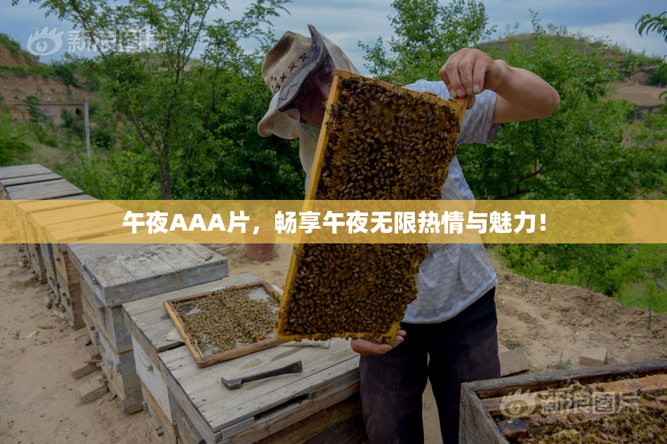 午夜AAA片，畅享午夜无限热情与魅力！