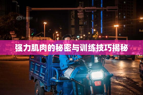 强力肌肉的秘密与训练技巧揭秘