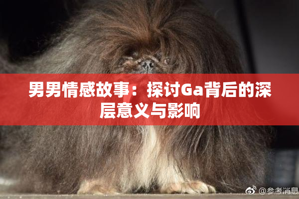男男情感故事：探讨Ga背后的深层意义与影响
