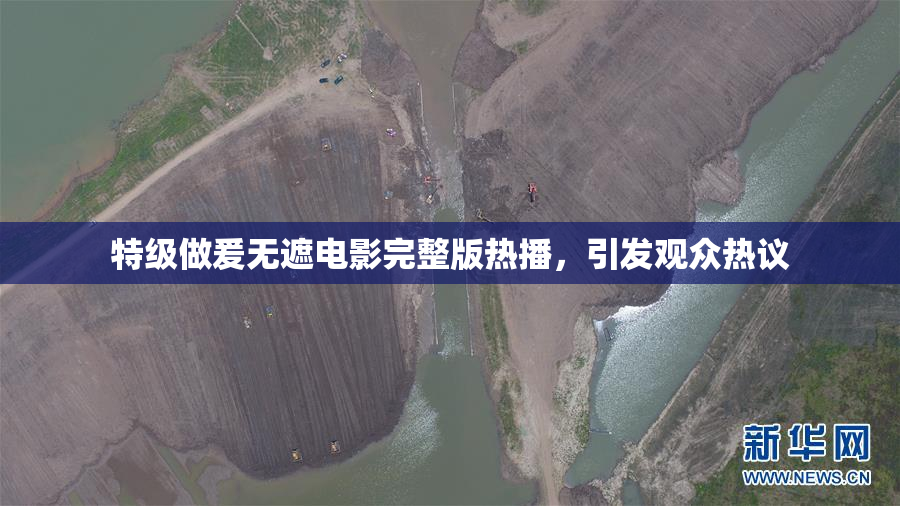 特级做爰无遮电影完整版热播，引发观众热议