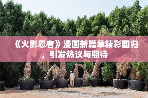 《火影忍者》漫画新篇章精彩回归，引发热议与期待