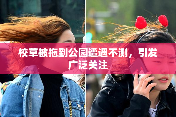 校草被拖到公园遭遇不测，引发广泛关注