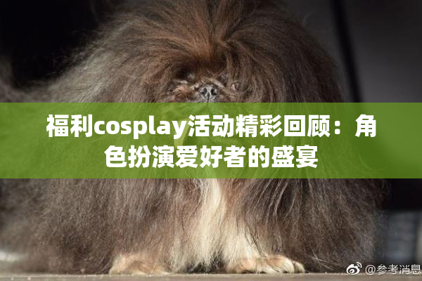 福利cosplay活动精彩回顾：角色扮演爱好者的盛宴