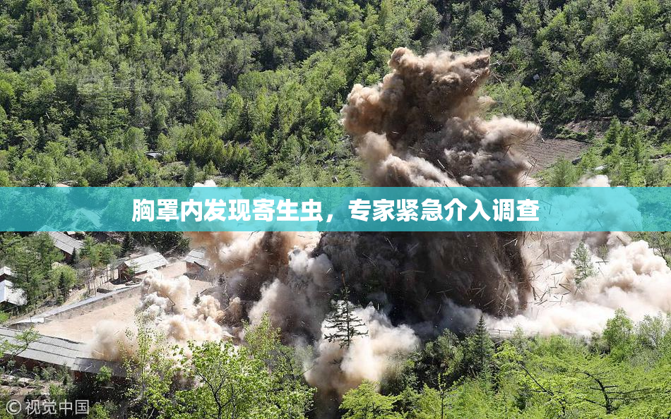 胸罩内发现寄生虫，专家紧急介入调查