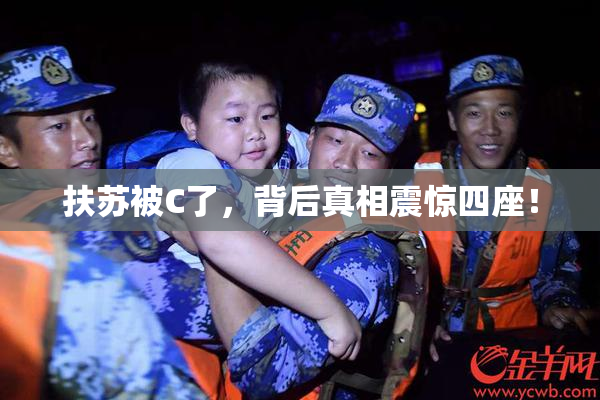 扶苏被C了，背后真相震惊四座！