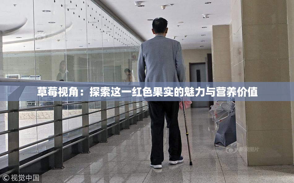草莓视角：探索这一红色果实的魅力与营养价值