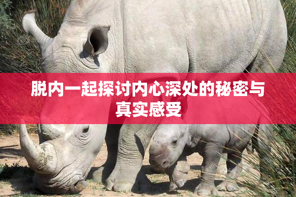 脱内一起探讨内心深处的秘密与真实感受