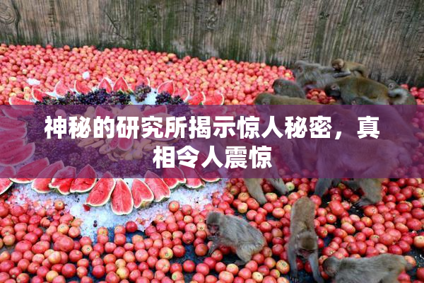 神秘的研究所揭示惊人秘密，真相令人震惊